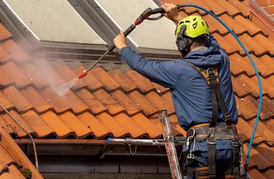 Démoussage et hydrofuge de toiture à Vigny
